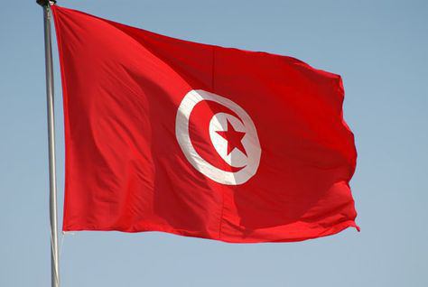 דגל תוניסיה: מראה והיסטוריה